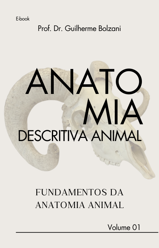 ebook anatomia descritiva vol. i 2025
